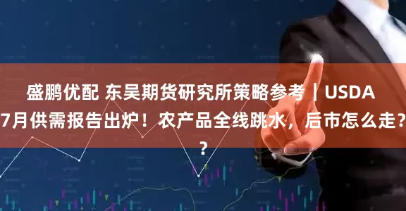 盛鹏优配 东吴期货研究所策略参考｜USDA 7月供需报告出炉！农产品全线跳水，后市怎么走？