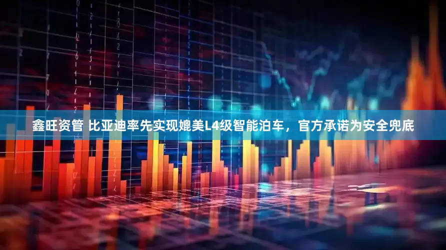 鑫旺资管 比亚迪率先实现媲美L4级智能泊车，官方承诺为安全兜底