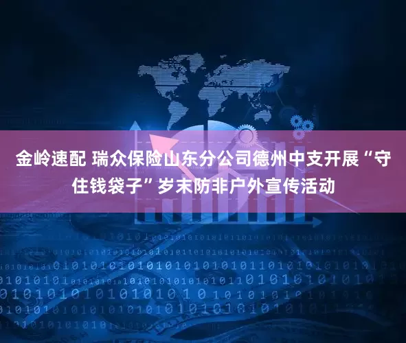 金岭速配 瑞众保险山东分公司德州中支开展“守住钱袋子”岁末防非户外宣传活动