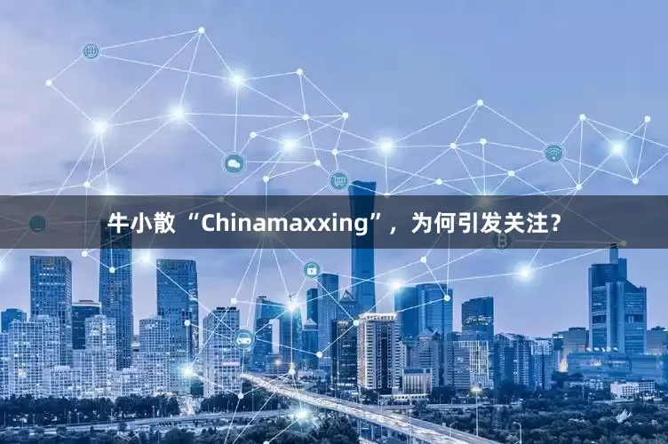 牛小散 “Chinamaxxing”，为何引发关注？
